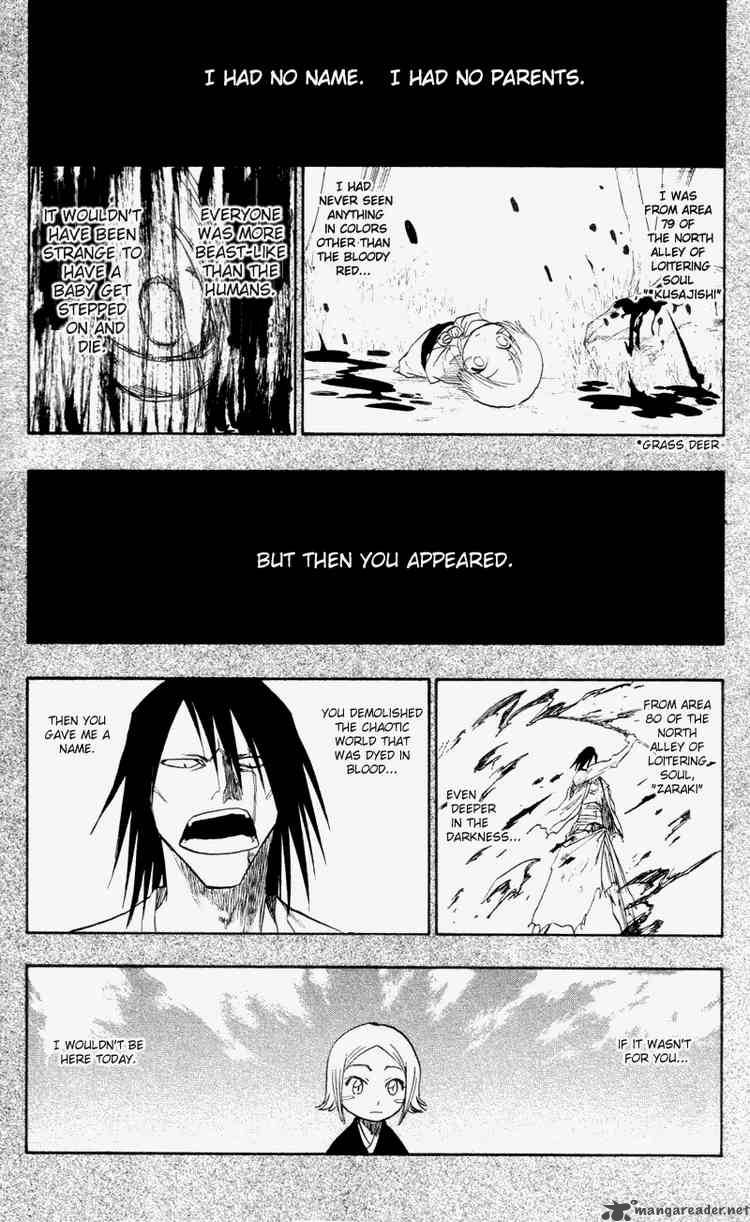 Bleach 114 15