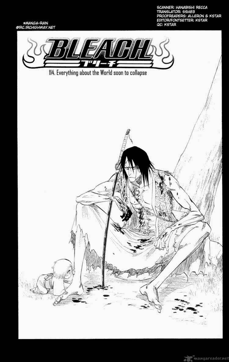 Bleach 114 4
