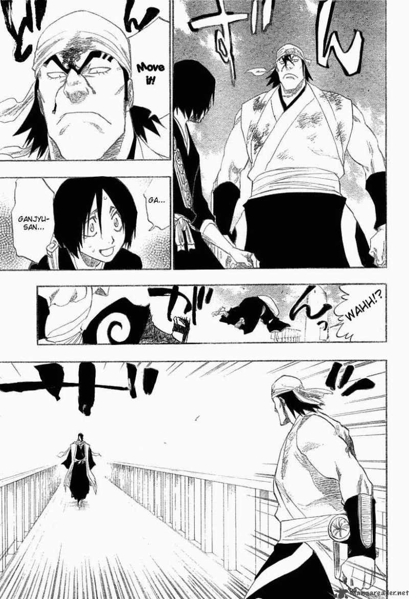 Bleach 116 12