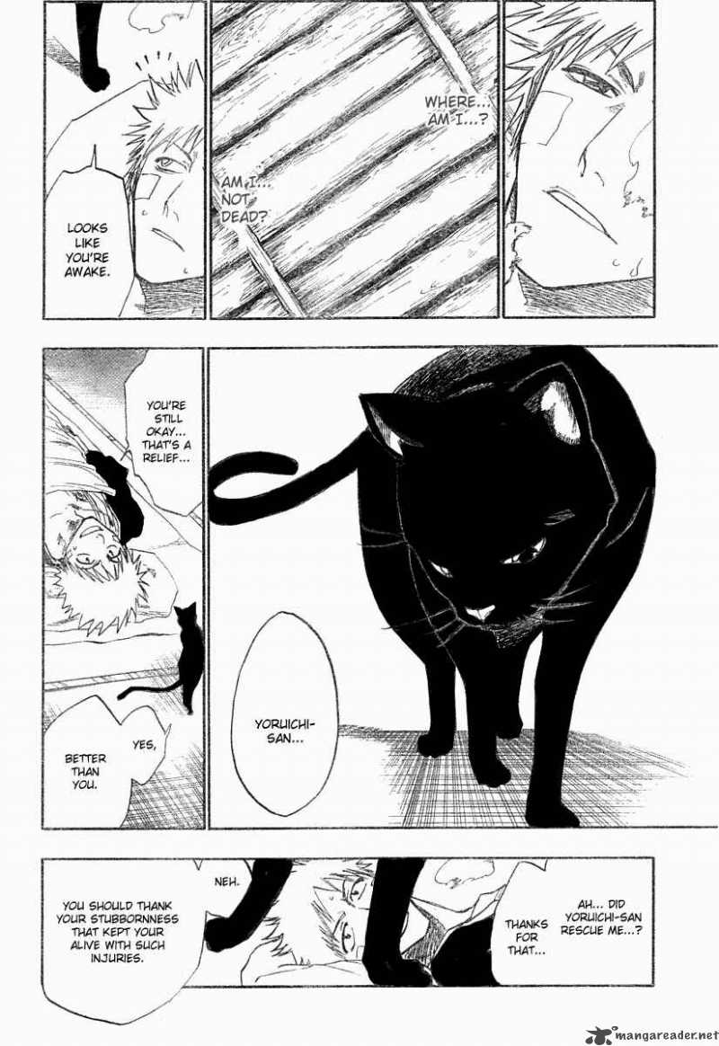 Bleach 116 15