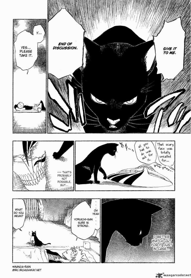 Bleach 116 19