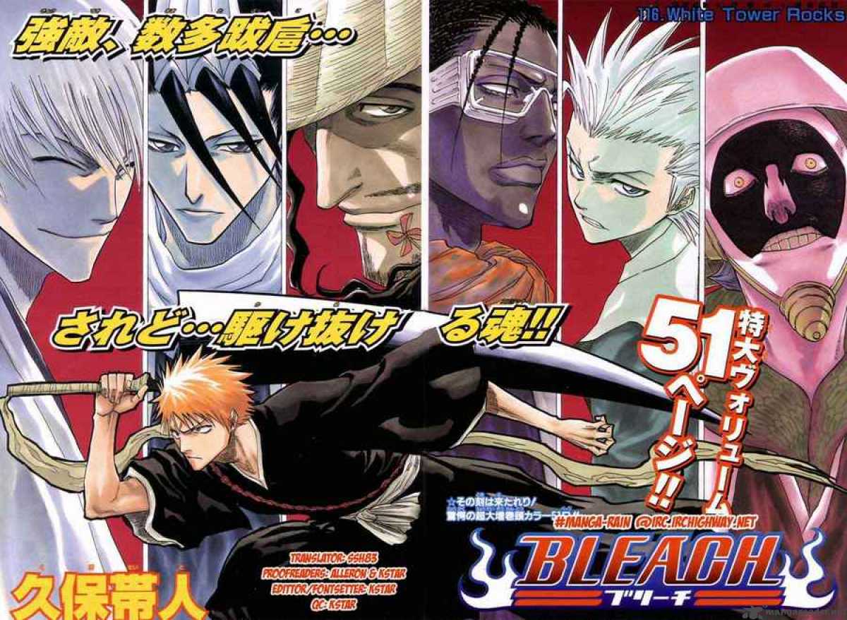 Bleach 116 2
