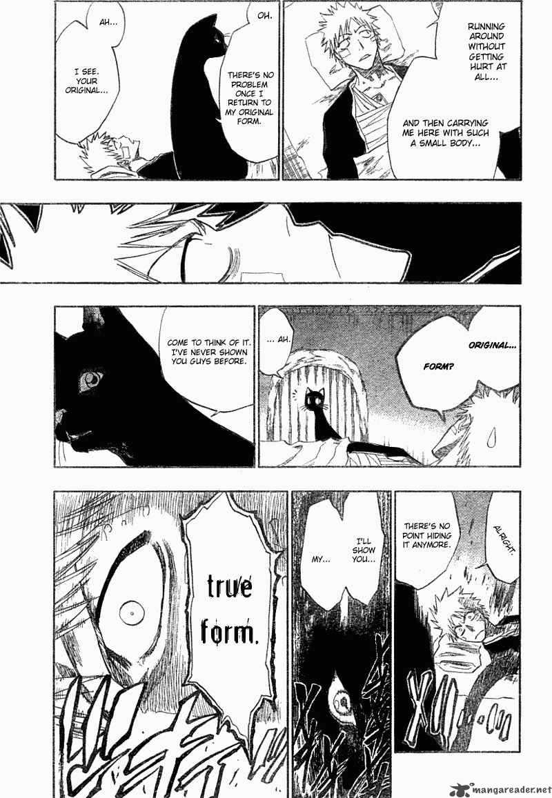 Bleach 116 20