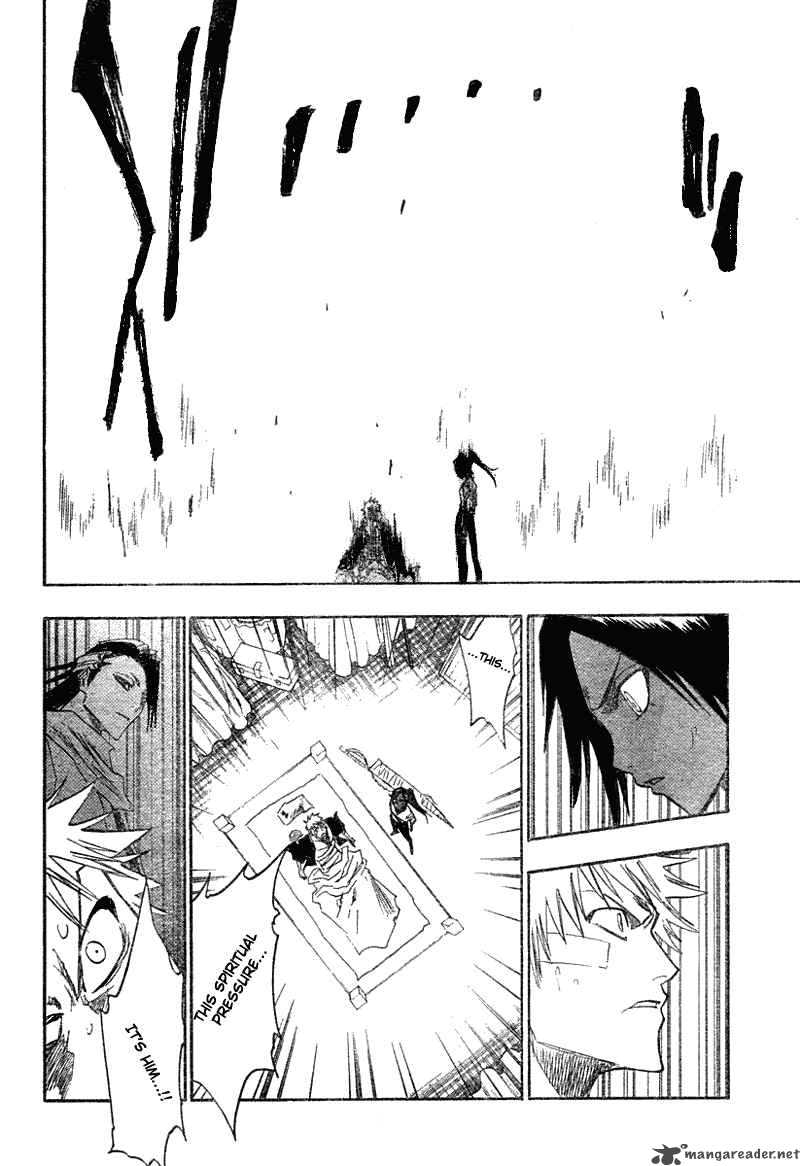 Bleach 116 25