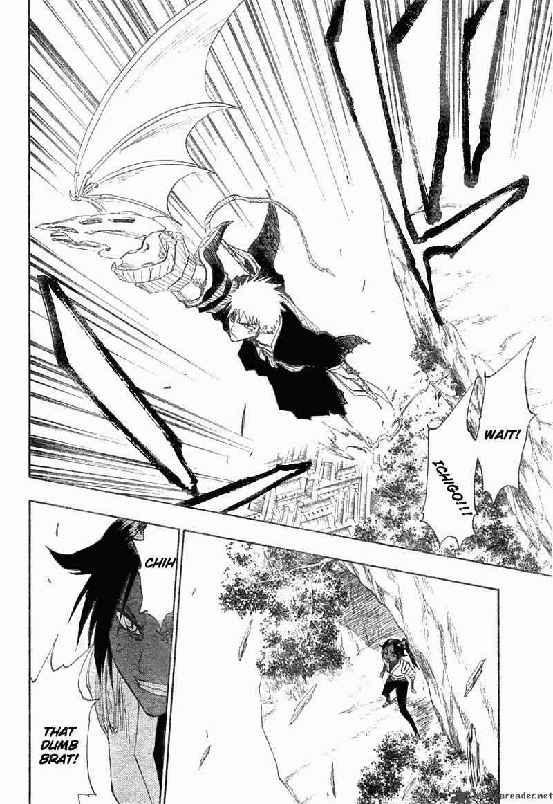 Bleach 116 27