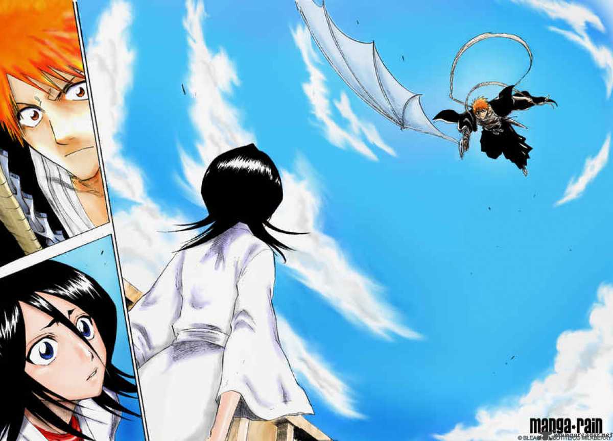 Bleach 116 43