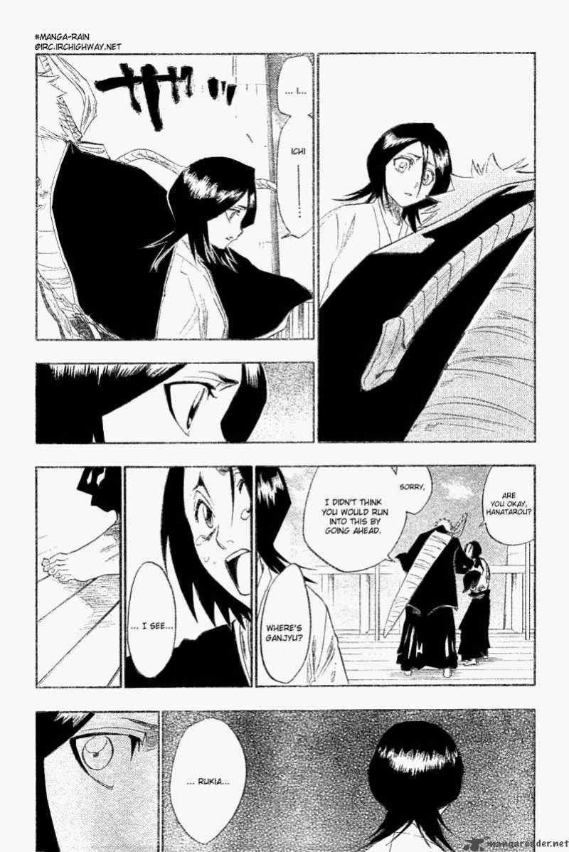 Bleach 116 46