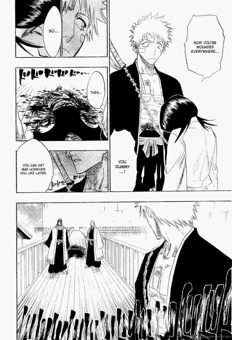Bleach 116 49