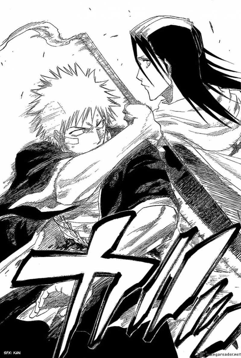 Bleach 117 15