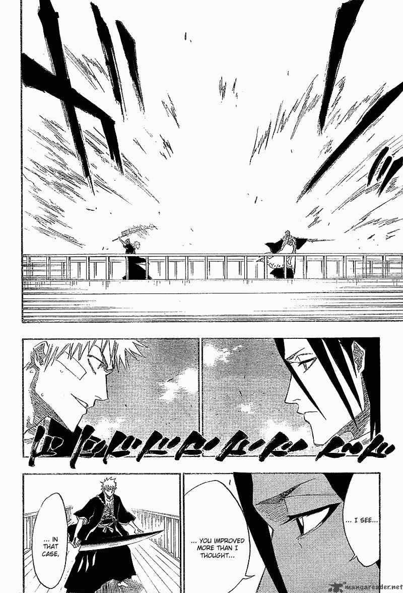 Bleach 117 17