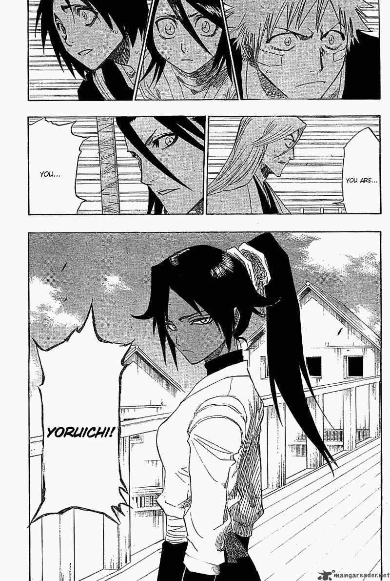 Bleach 117 20