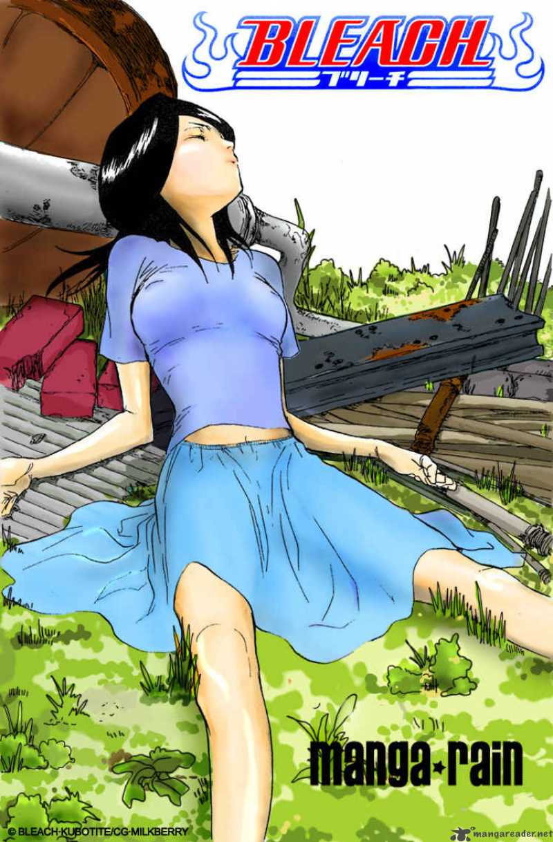 Bleach 117 21