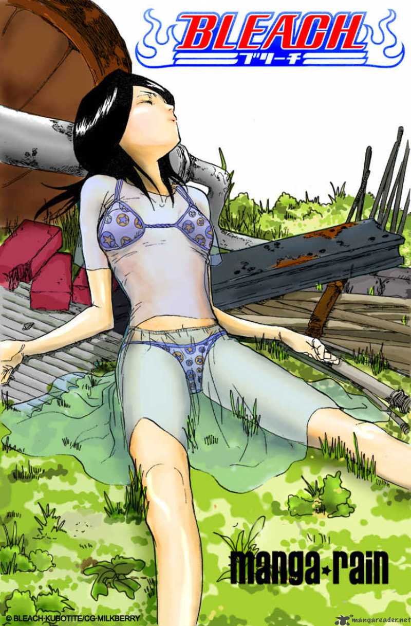 Bleach 117 22