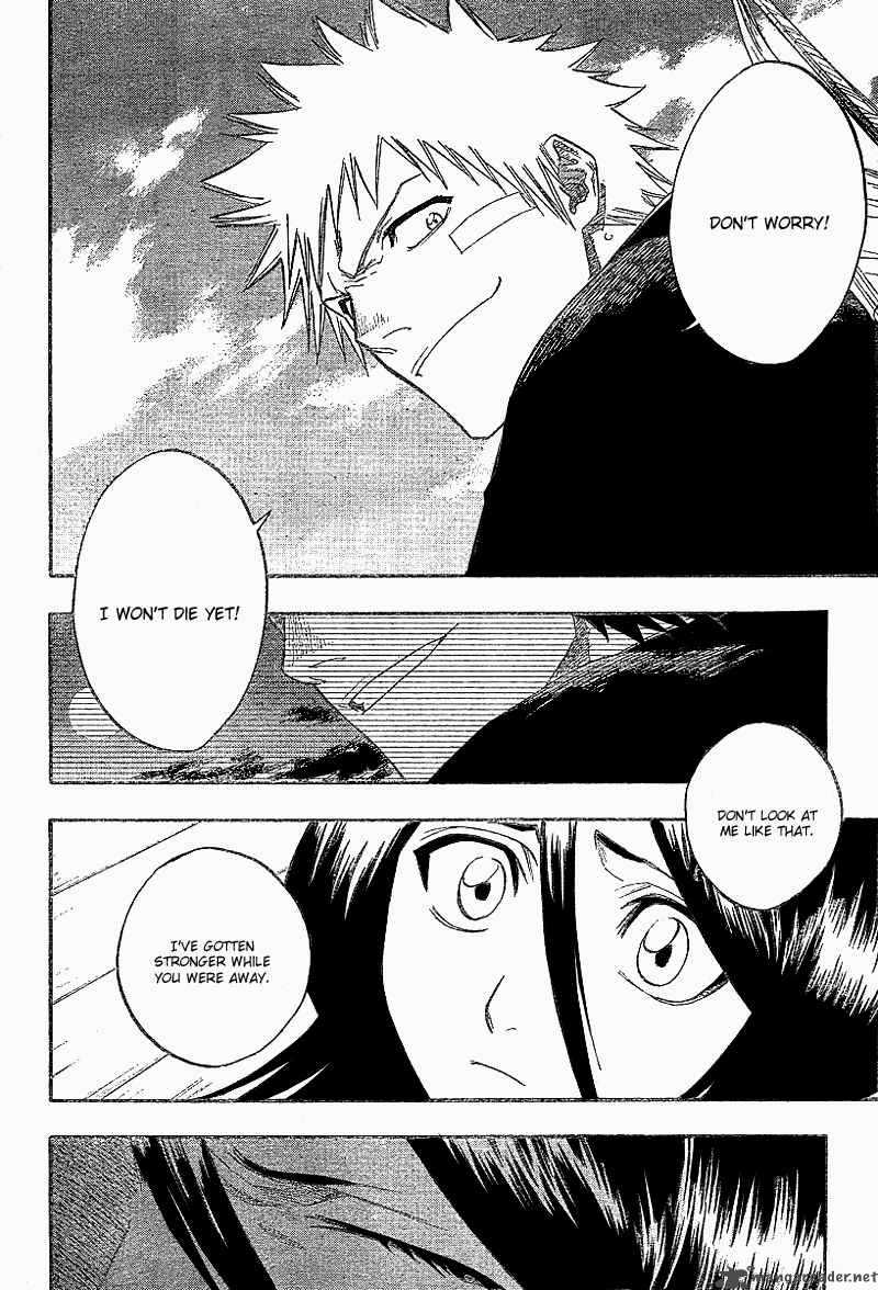 Bleach 117 5