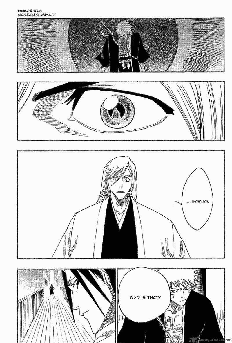 Bleach 117 6