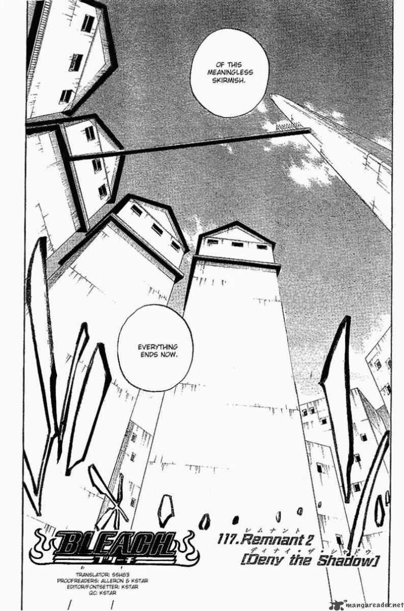 Bleach 117 8