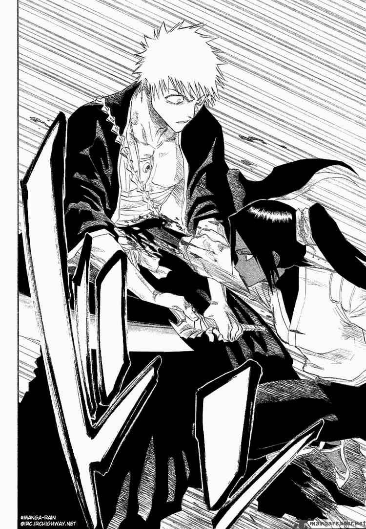 Bleach 118 10