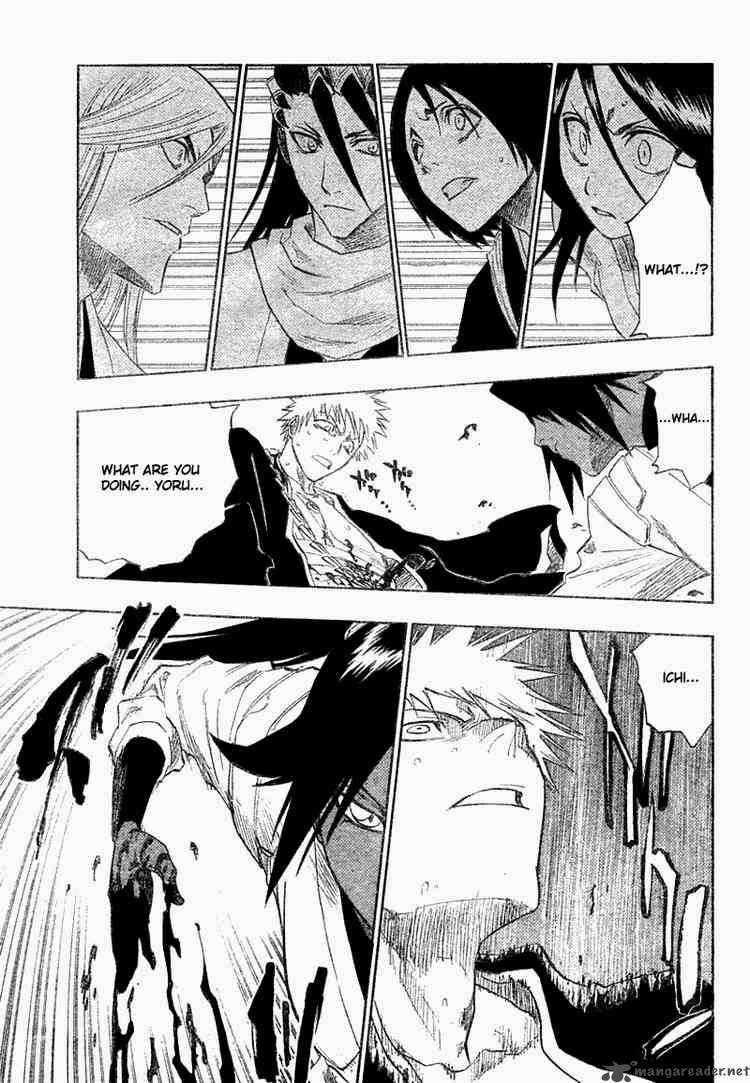 Bleach 118 11