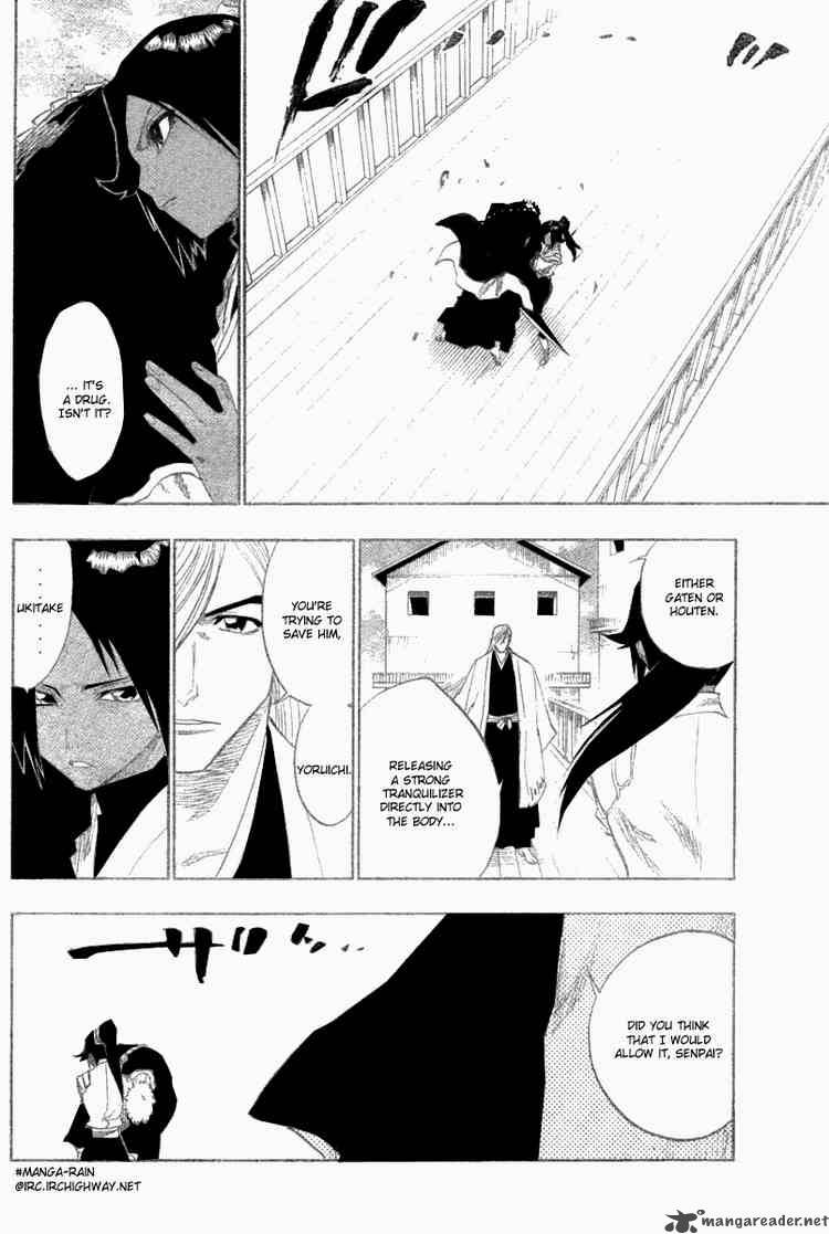 Bleach 118 12