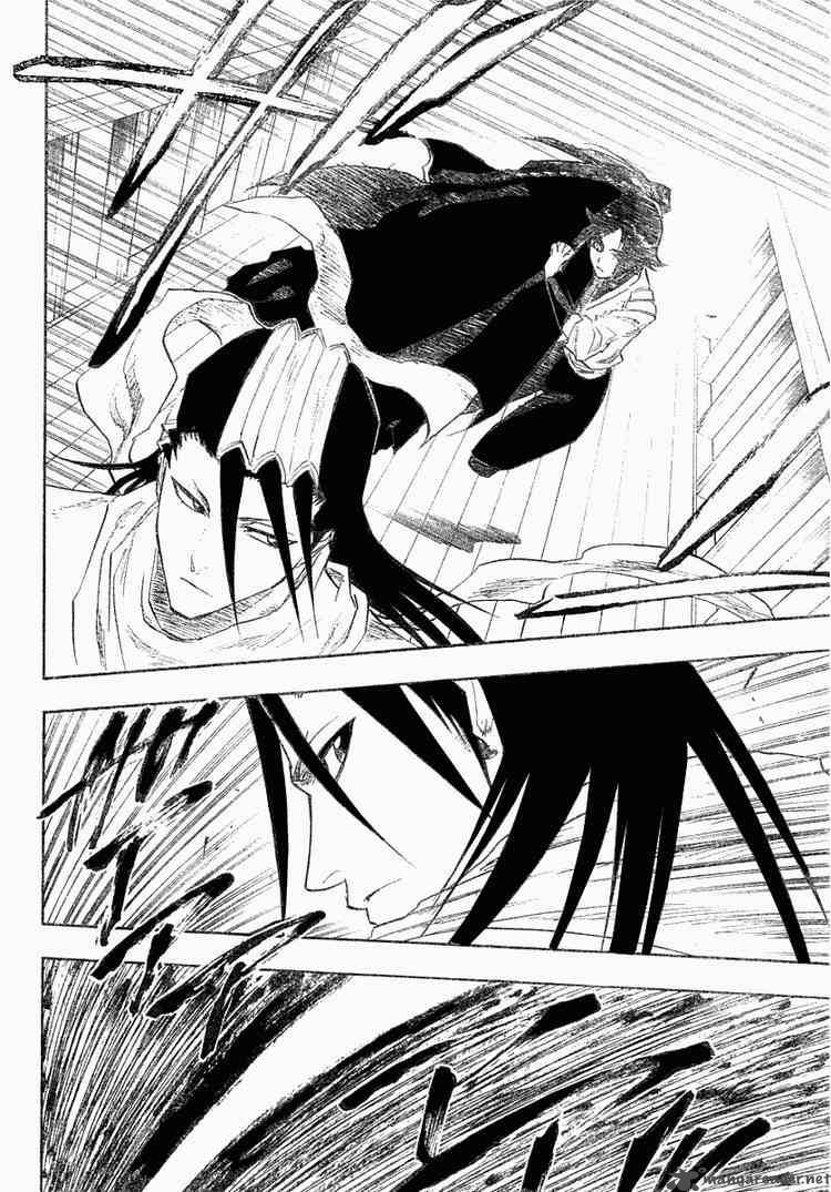 Bleach 118 14