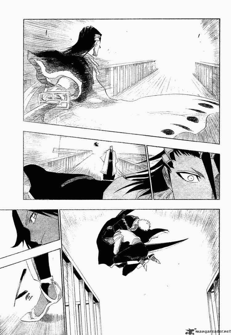Bleach 118 15