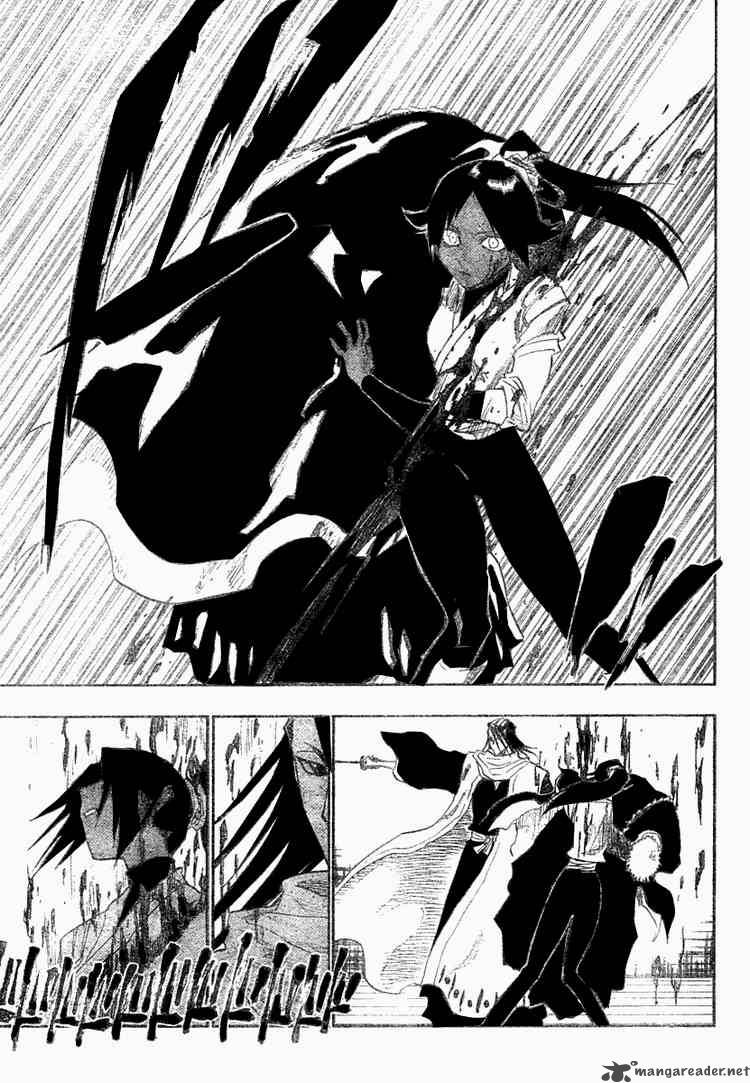 Bleach 118 17