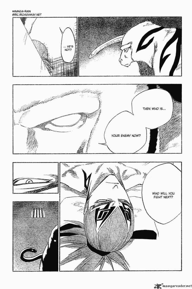 Bleach 118 5