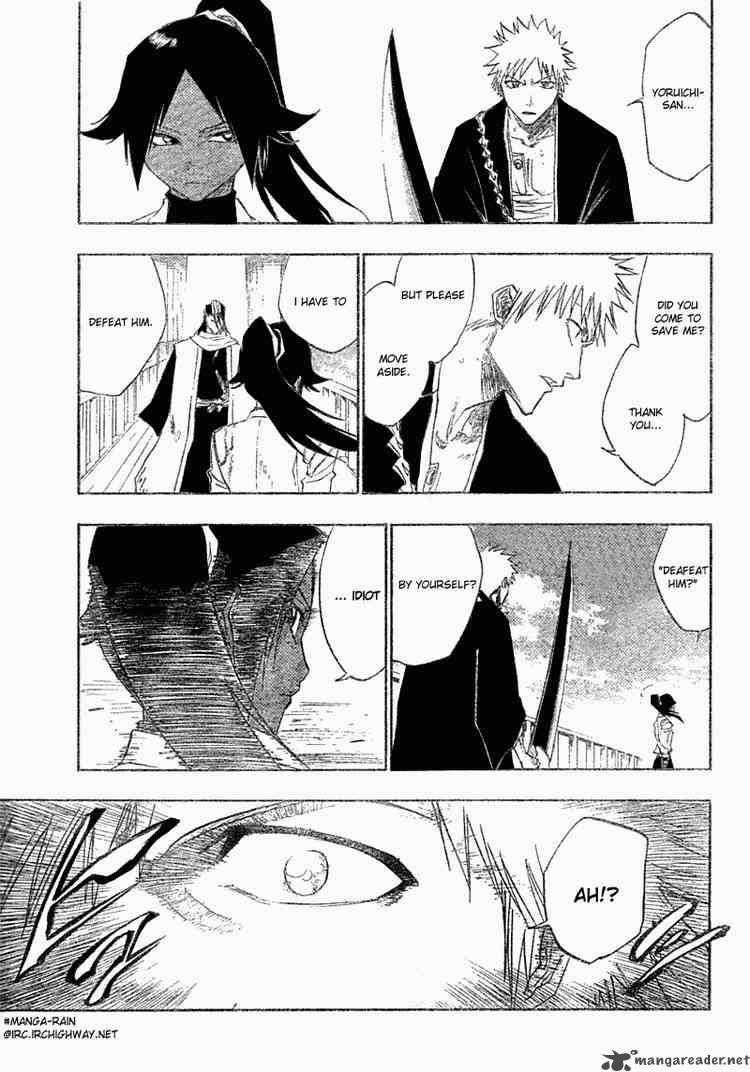 Bleach 118 9