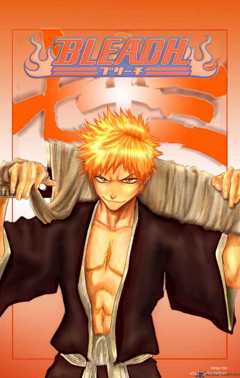 Bleach 119 2