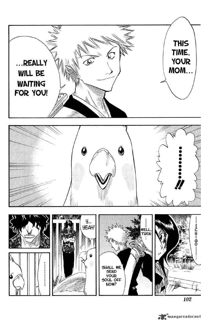 Bleach 12 16