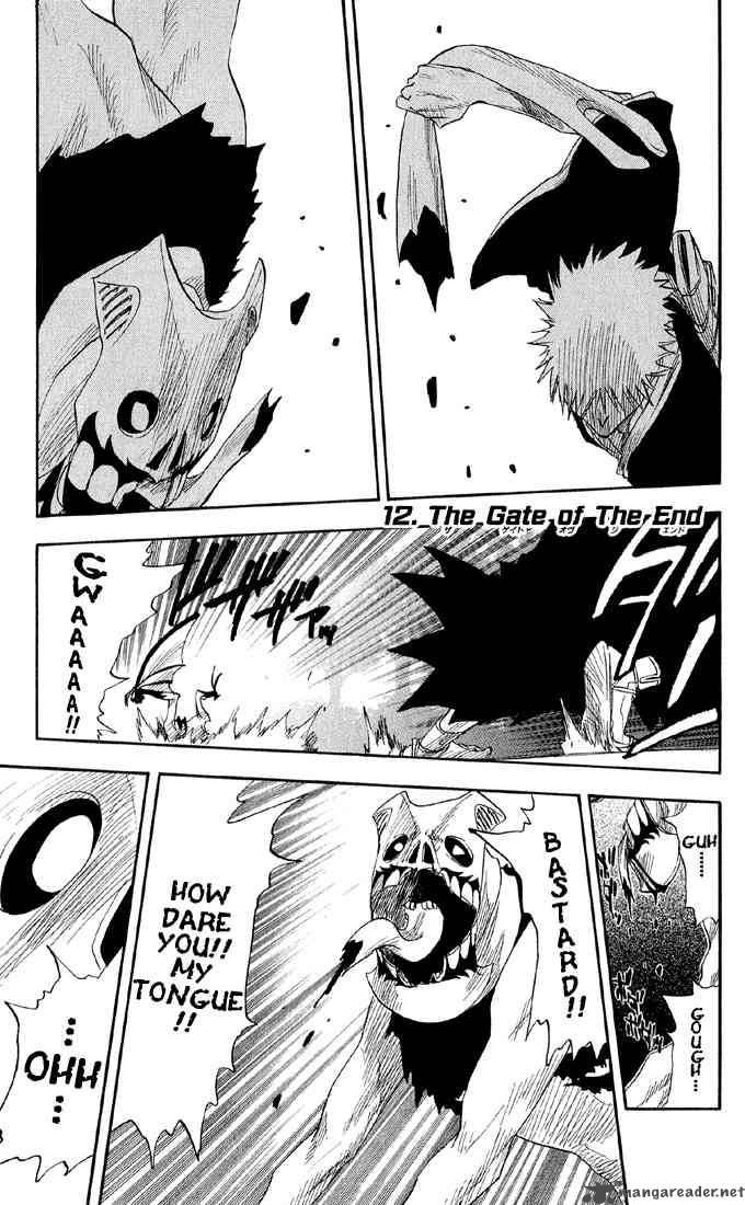 Bleach 12 2