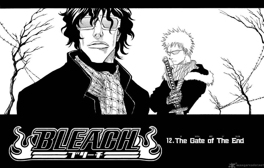 Bleach 12 4