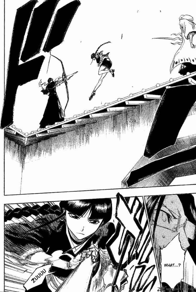Bleach 122 14