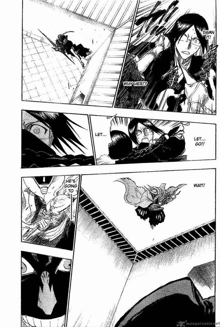 Bleach 122 15