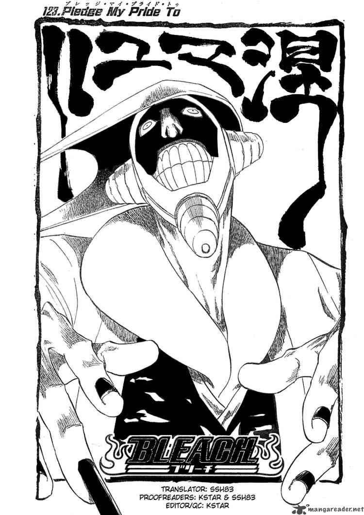 Bleach 123 3