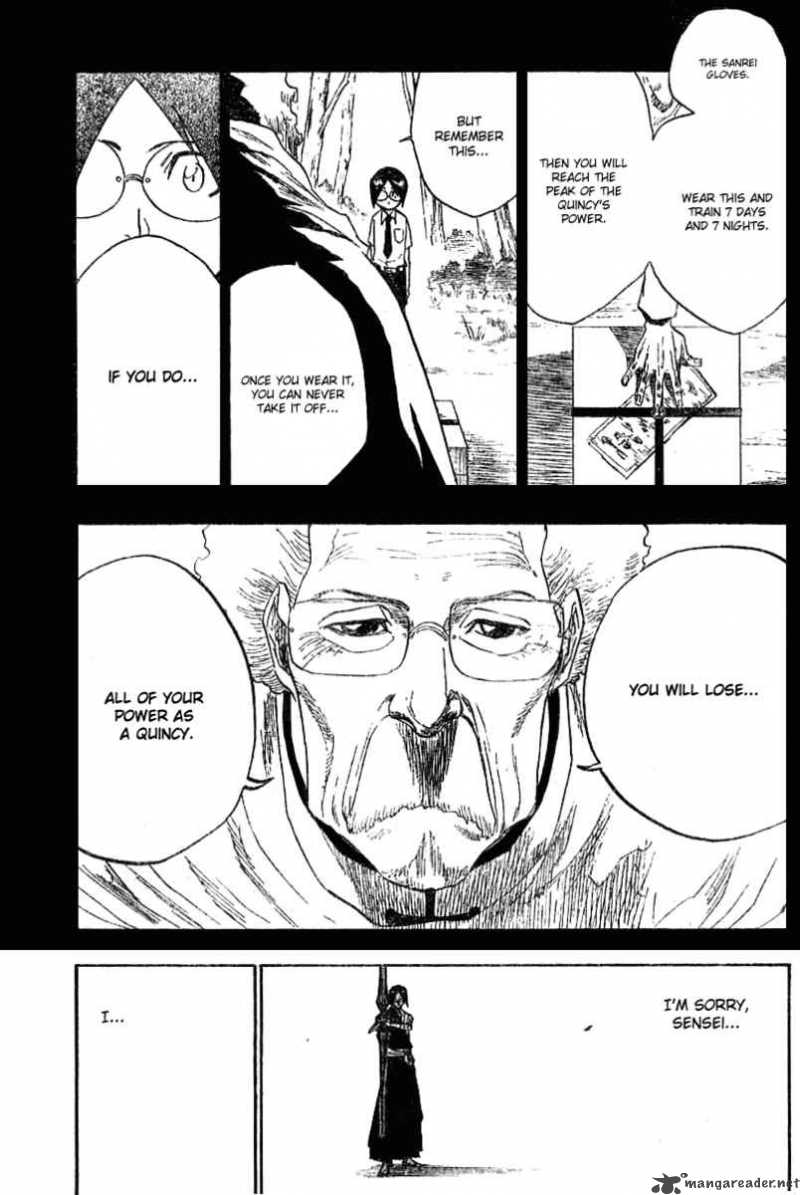 Bleach 124 17