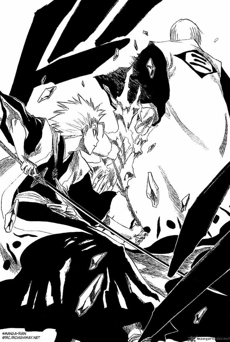 Bleach 132 10
