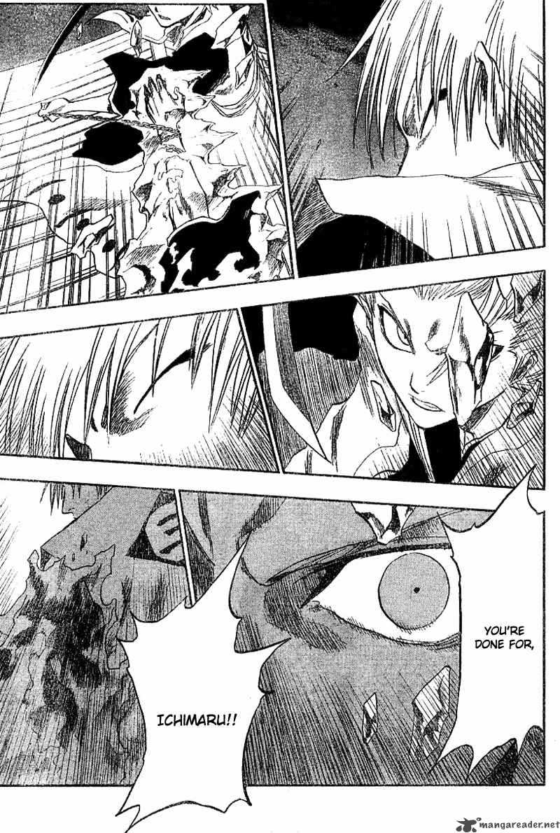 Bleach 132 11