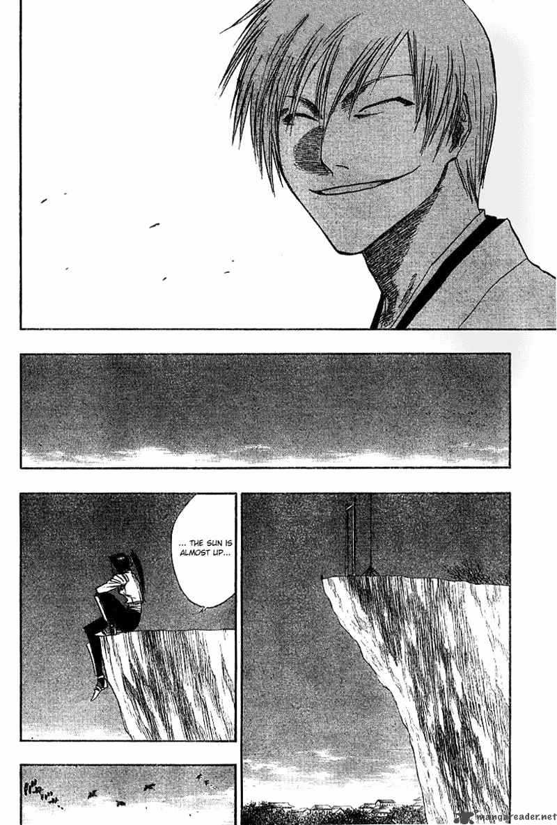 Bleach 132 17