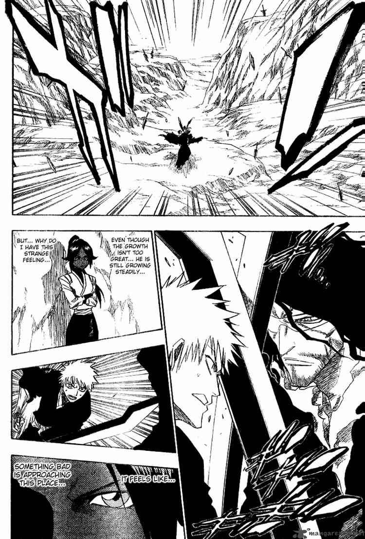 Bleach 133 10