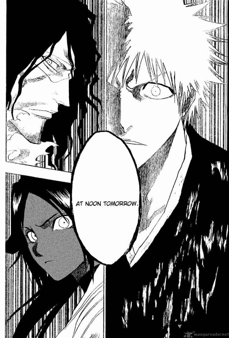 Bleach 133 14