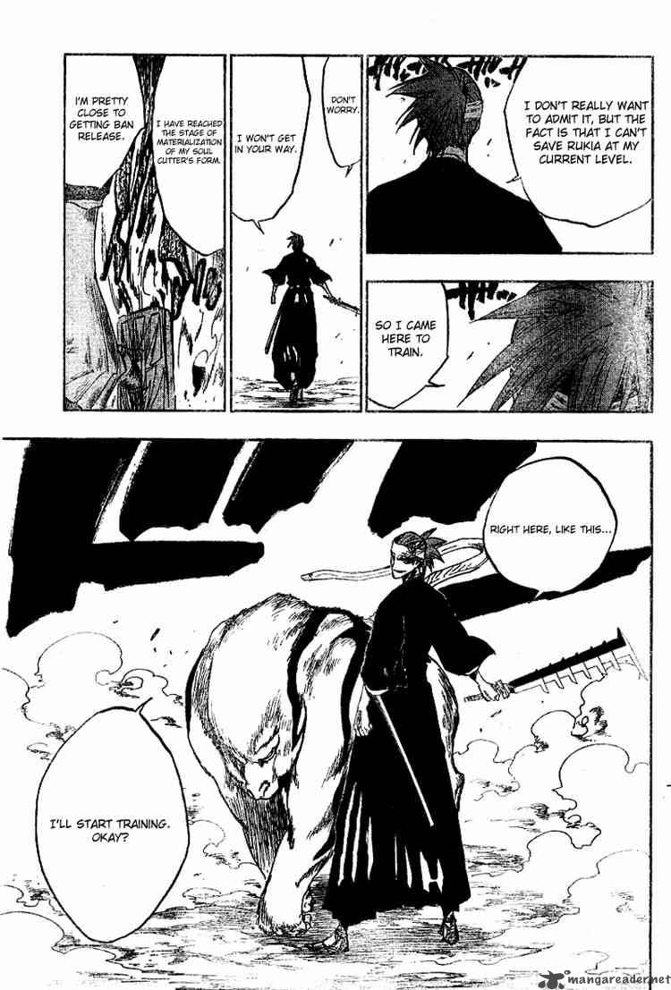 Bleach 133 15