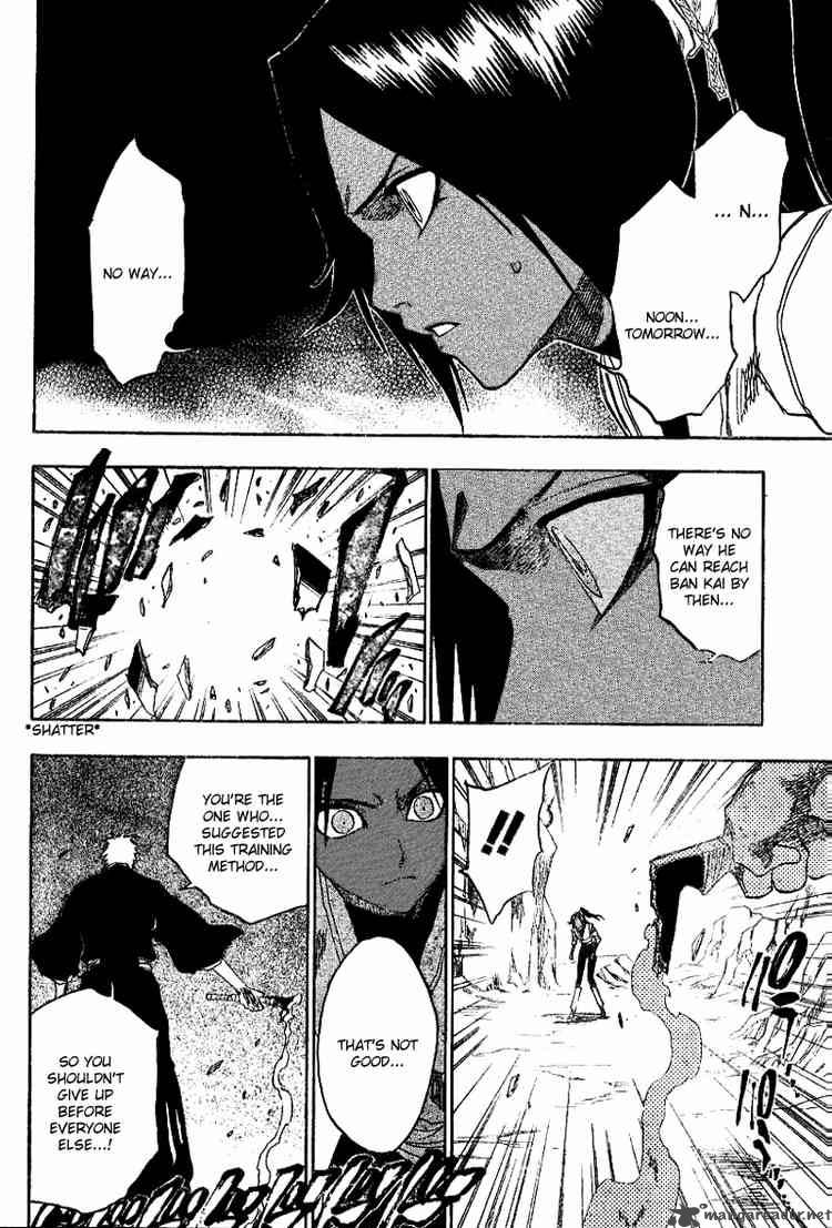 Bleach 133 16