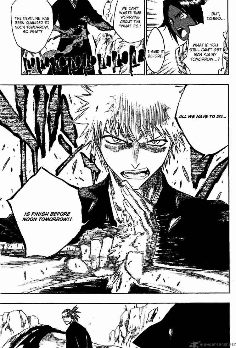 Bleach 133 17
