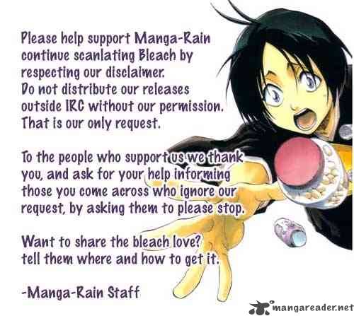 Bleach 133 22