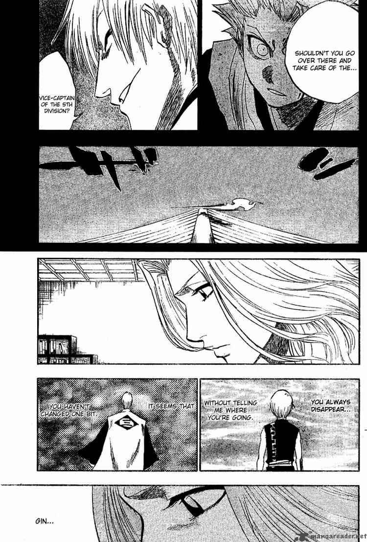 Bleach 133 5