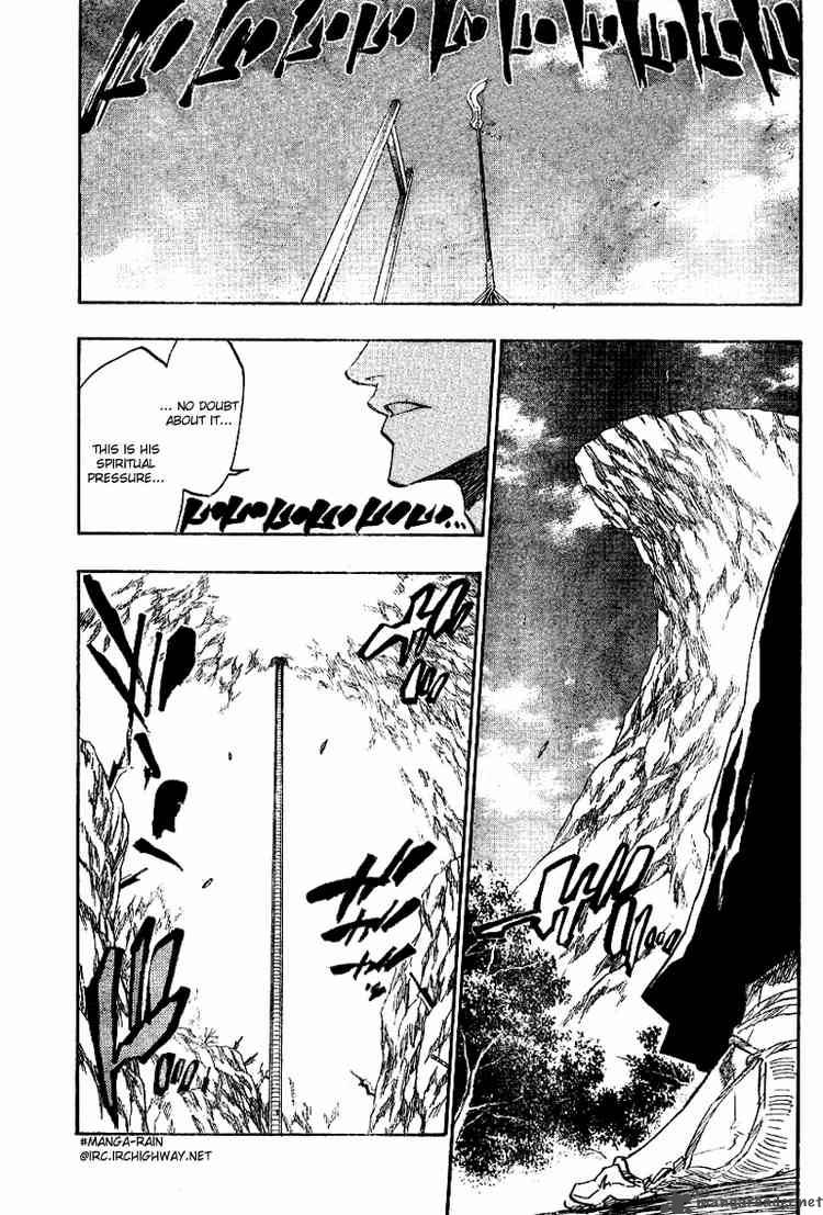 Bleach 133 9