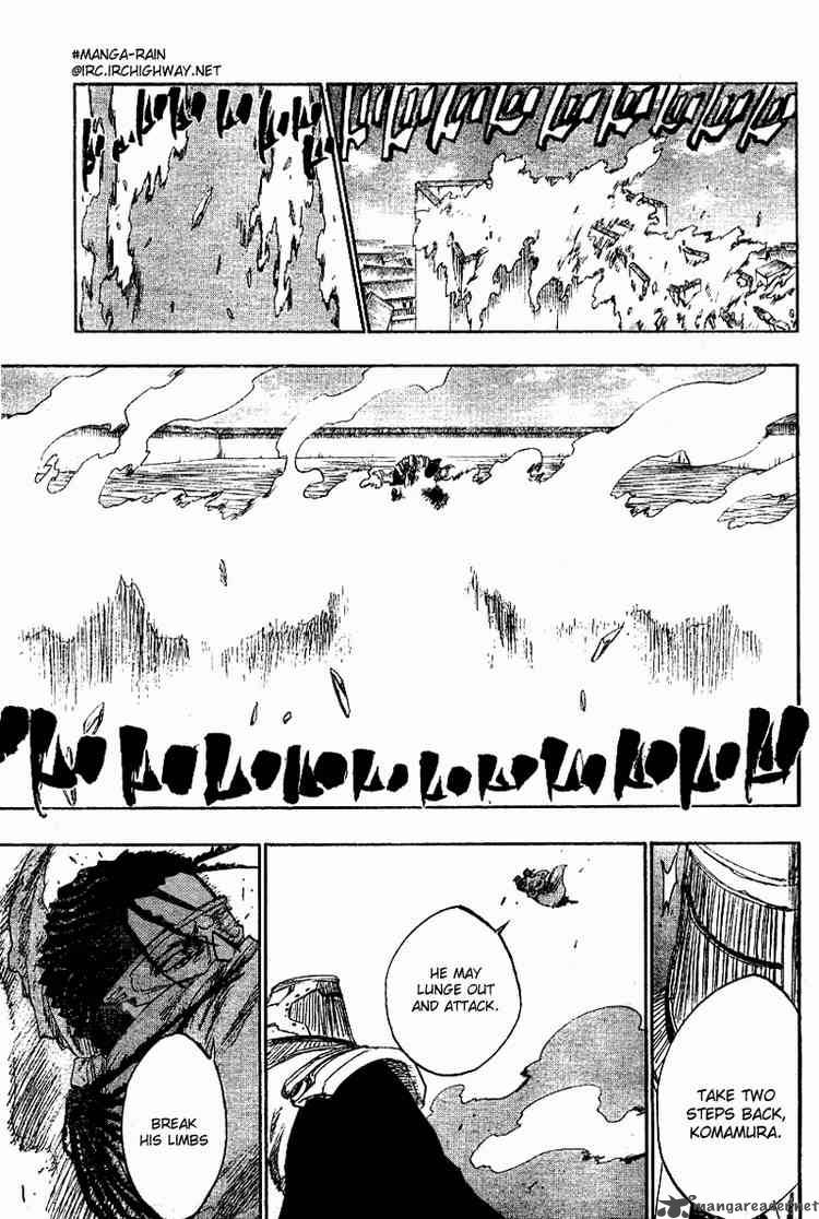 Bleach 139 13
