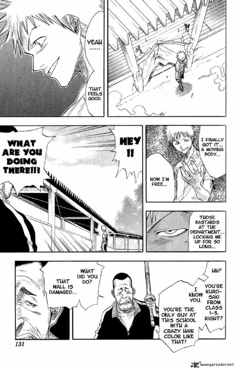 Bleach 14 6