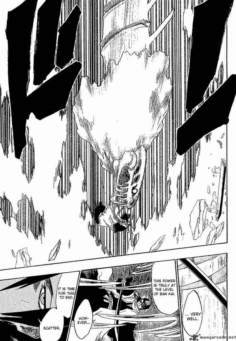 Bleach 141 12